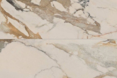 ariana_epoque_ivory