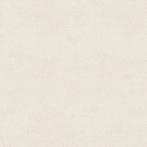 fondovalle_dream_snow