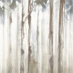 fondovalle_dream_woods