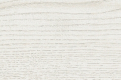 gardenia_orchidea_just_code_white