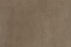 kronos_metallique_brune